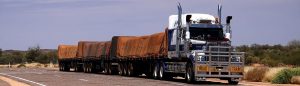 Trailer truck used for driver licencing, and which is the header image of "road rules" blog.